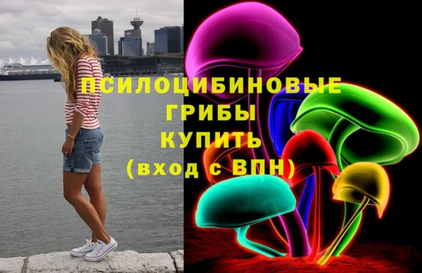 стафф Абинск