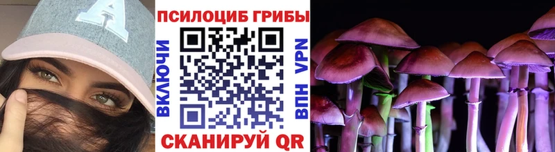 Галлюциногенные грибы прущие грибы  Волоколамск 