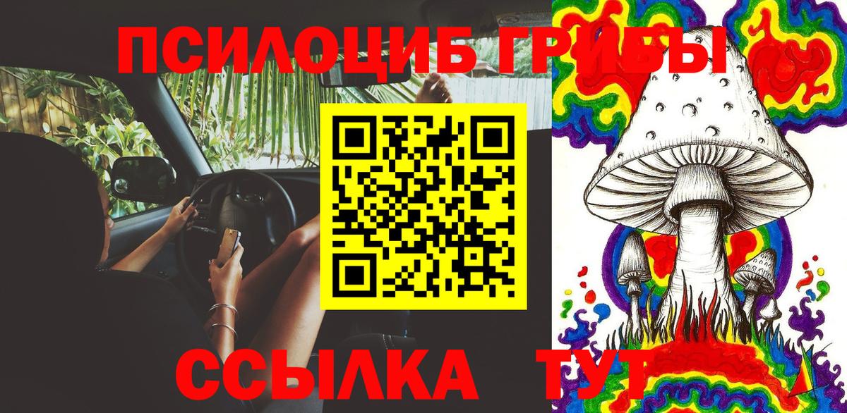 Волоколамск  Галлюциногенные грибы мицелий  Псилоцибиновые грибы Cubensis  Вход с VPN 