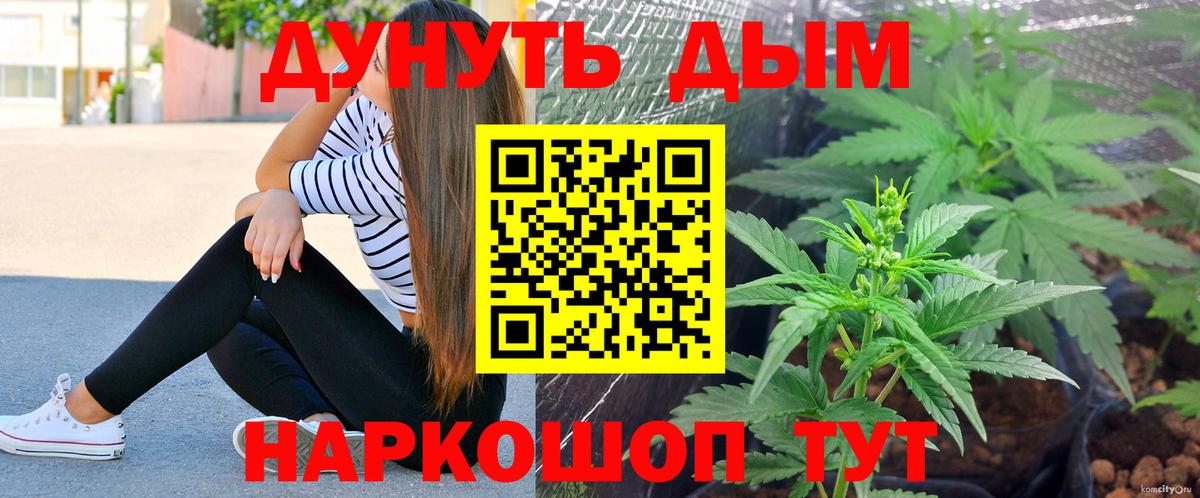 Бошки марихуана конопля Волоколамск